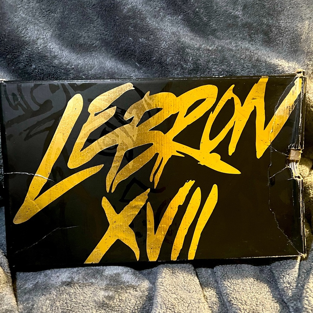 NIKE LEBRON 17 BLACK WHITE